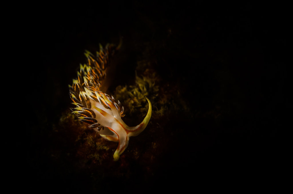 Walking in the Dark
