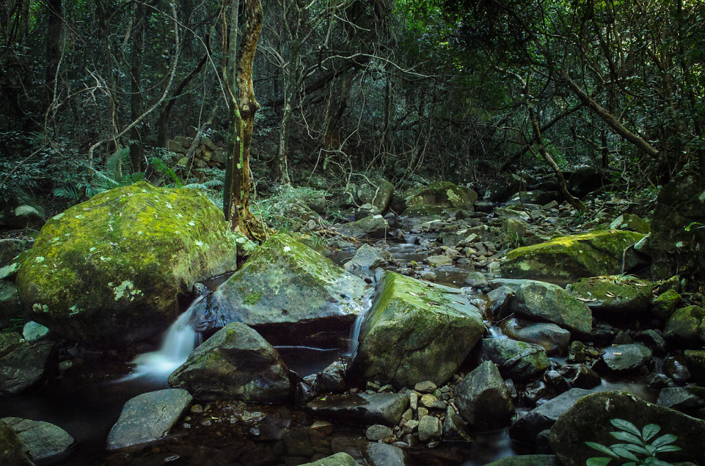 Dripping Through the Rocks