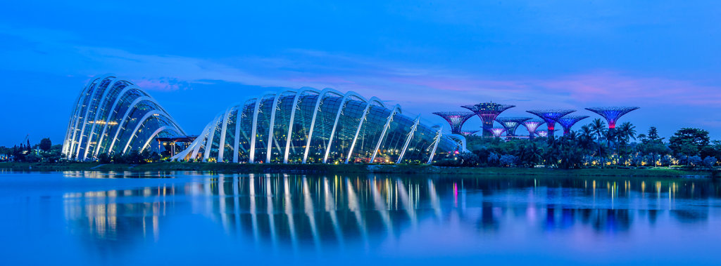 Gardens by the Bay at Dusk