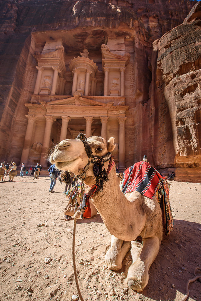 Camel and the Treasury